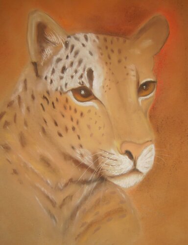 Leopard by Marion Kotyba, Drawing for Sale on Singulart