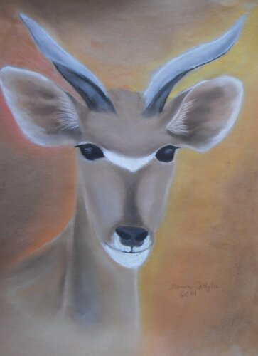 Kudu van Marion Kotyba, Tekening te koop op Singulart