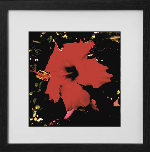 Hibiskus di Marion Kotyba, Digitale in vendita su Singulart