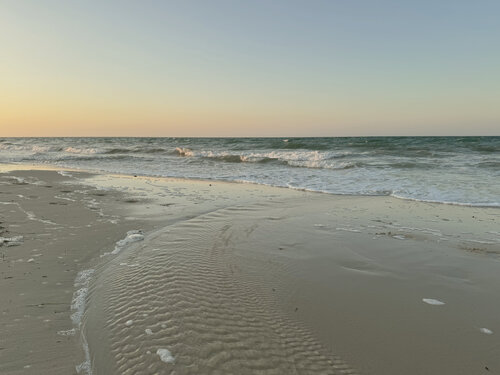 Meeresleuchten I von Marion Kotyba, Digital kaufen auf Singulart