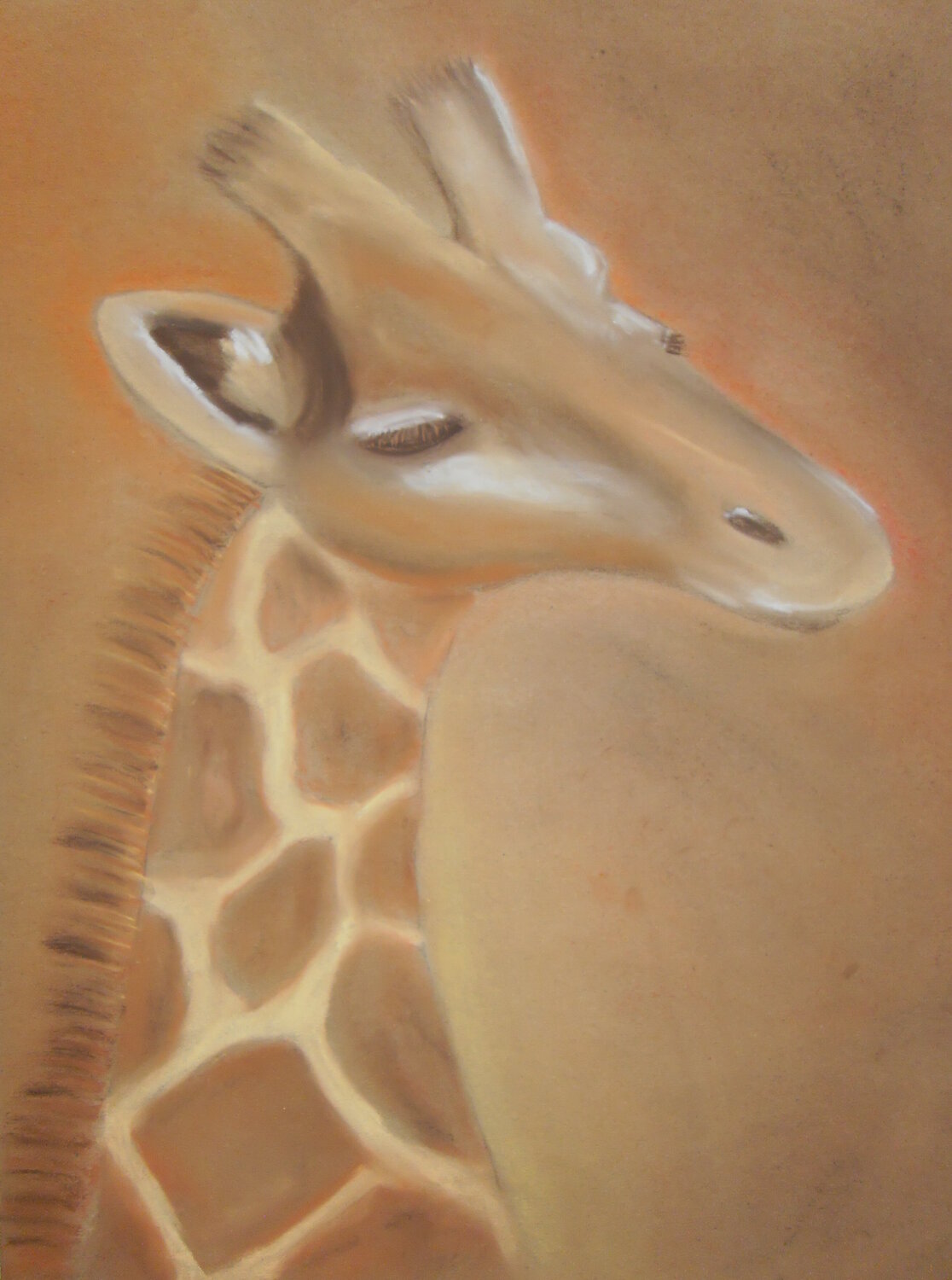 Giraffe Marion Kotyba