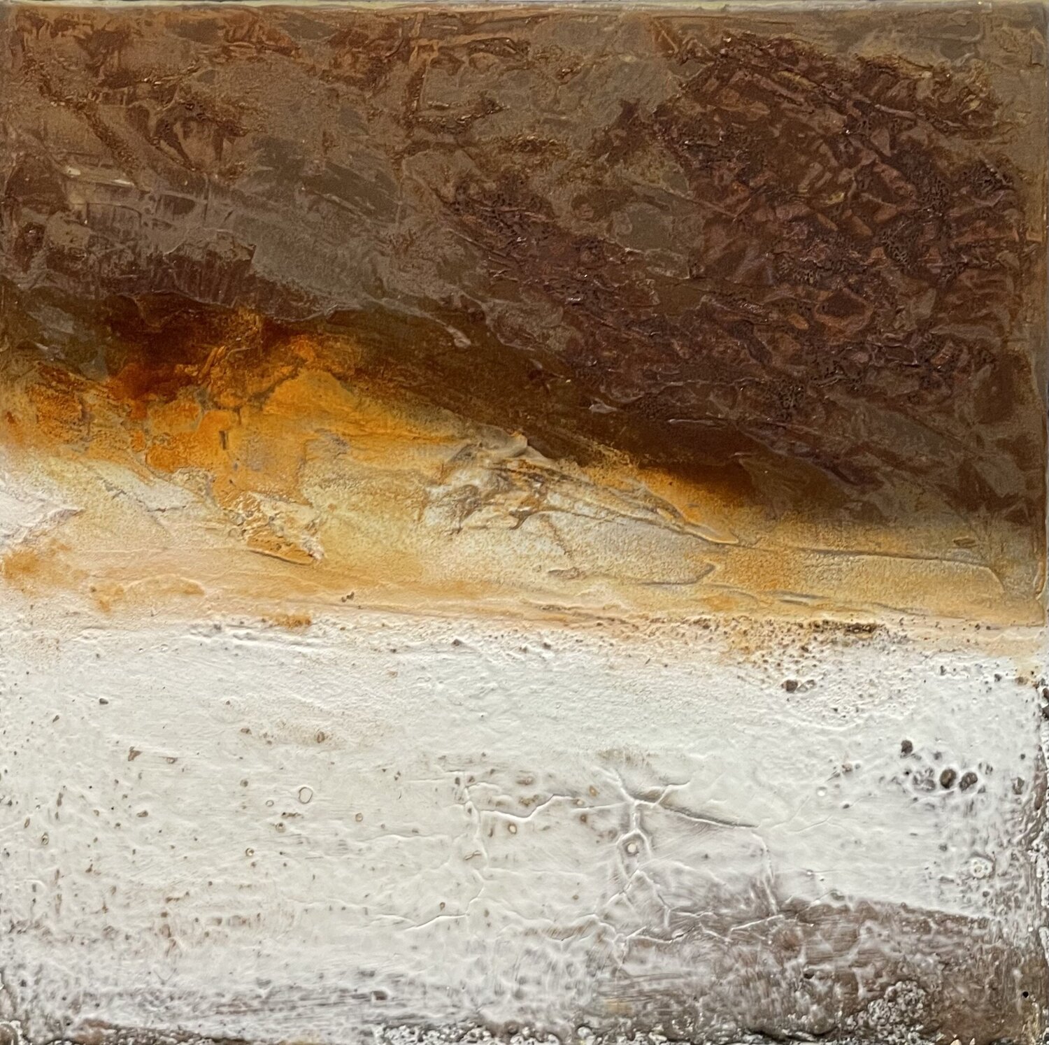 Dimenticare XIV Marion Kotyba