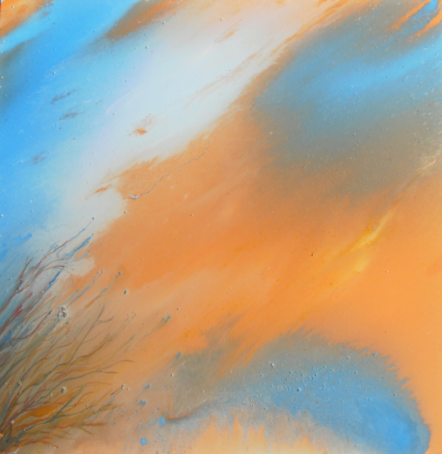 Corallo Marion Kotyba