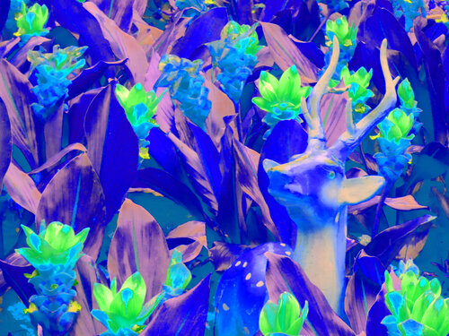 "Deer At Wat Arun - Blue", 120 X 160 CM di Tjaša Iris, Fotografia in vendita su Singulart