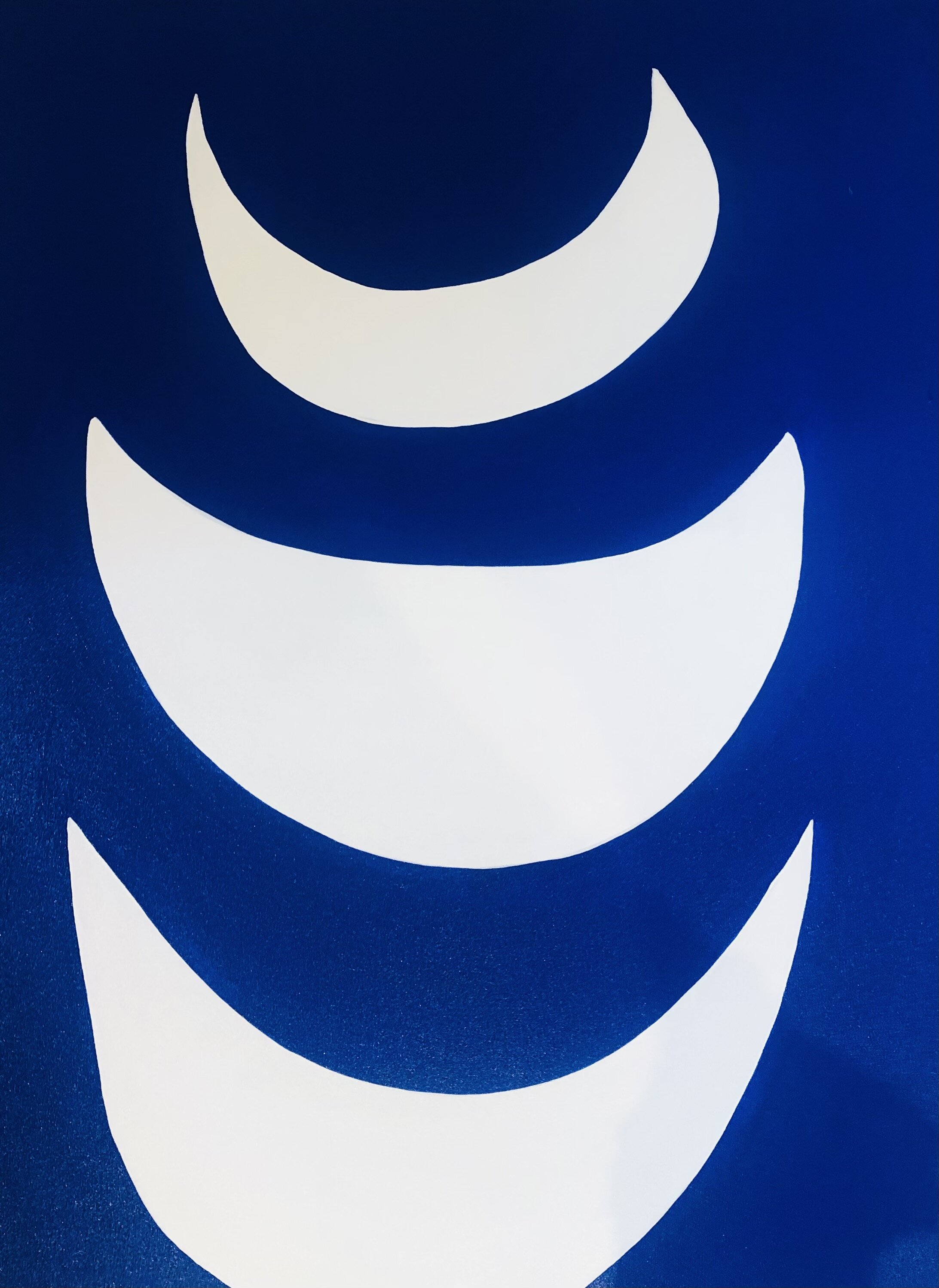 Thema Schoon Schilderijen