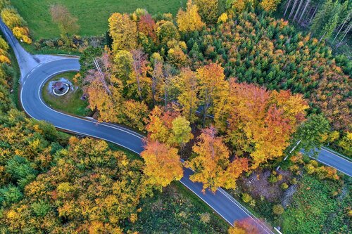 Fall by Tomáš Neuwirth, Photography for Sale on Singulart