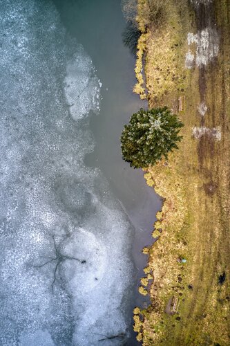 Spring Time by Tomáš Neuwirth, Photography for Sale on Singulart