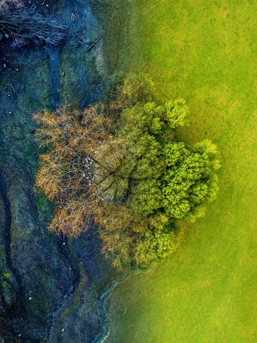 Dead or Alive by Tomáš Neuwirth, 사진 for Sale on Singulart