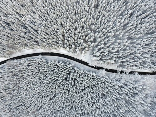 A Cold Road von Tomáš Neuwirth, Fotografie kaufen auf Singulart