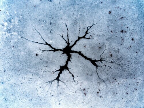Fractal von Tomáš Neuwirth, Fotografie kaufen auf Singulart