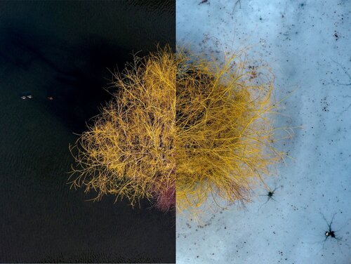 Water or Ice von Tomáš Neuwirth, Fotografie kaufen auf Singulart