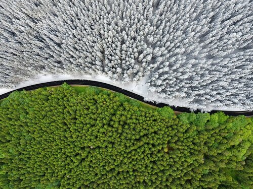 Road Between Seasons von Tomáš Neuwirth, Fotografie kaufen auf Singulart