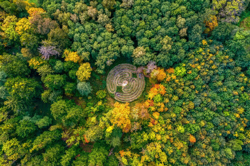 Labyrinth by Tomáš Neuwirth, Photography for Sale on Singulart