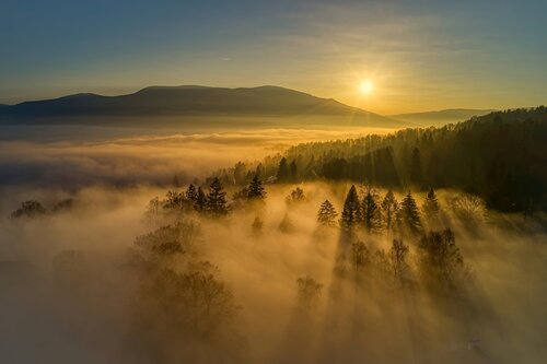 Golden Fog von Tomáš Neuwirth, Fotografie kaufen auf Singulart