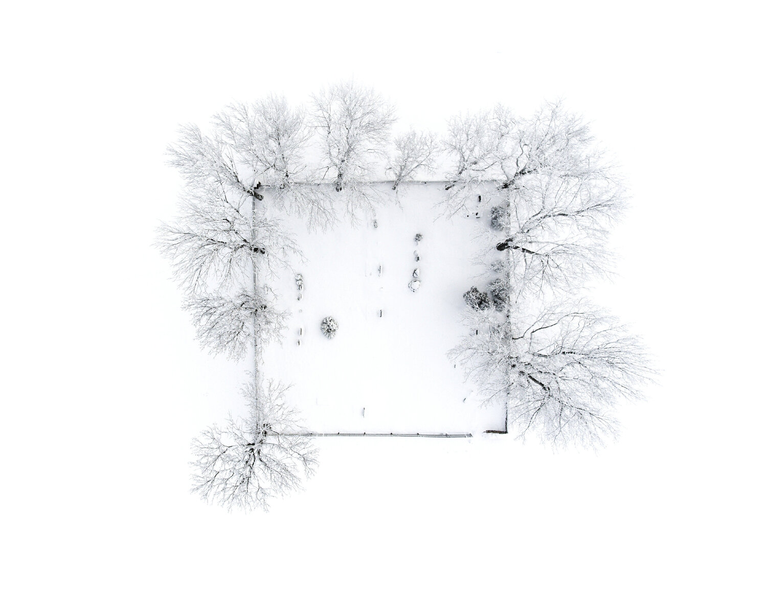 Cemetery Tomáš Neuwirth