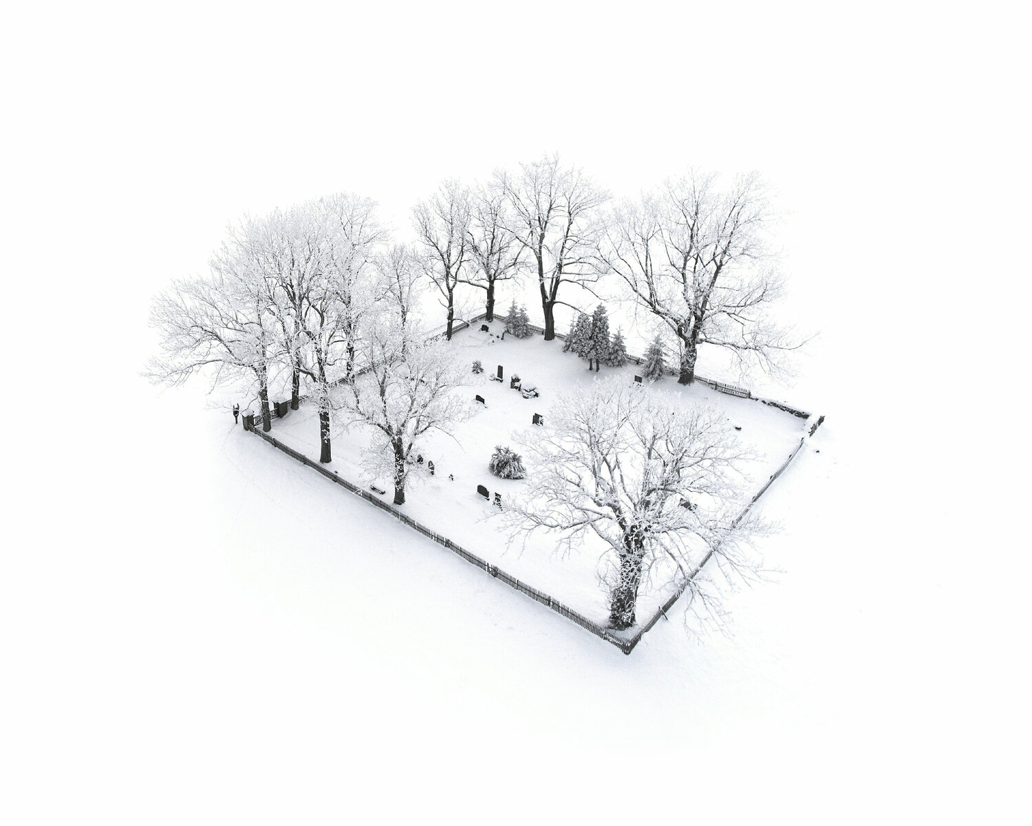 Eternity Tomáš Neuwirth