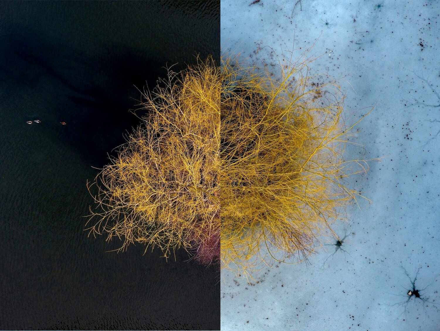 Water or Ice Tomáš Neuwirth