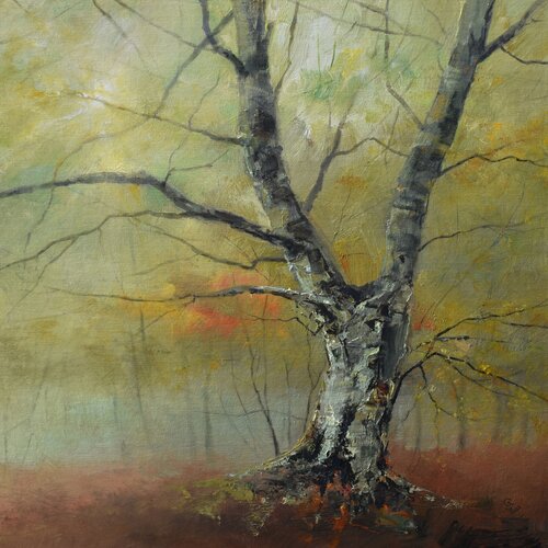 " An old tree in a misty green " van Ivan Grozdanovski, Schilderij te koop op Singulart