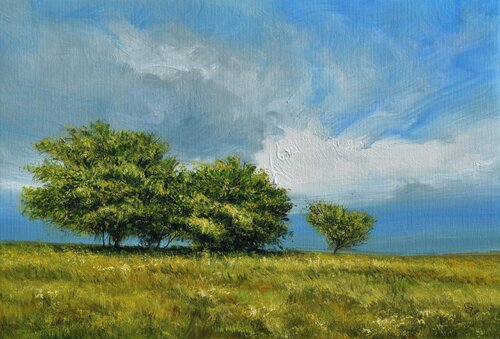 " Ode to a White Cloud " Ivan Grozdanovski