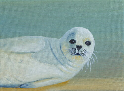 Seehund "Sir Adreon" par Ulla M. Neuhaus, Peinture en vente sur Singulart