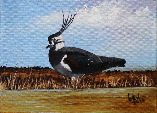 Kiebitz de Ulla M. Neuhaus, Pintura a la venta en Singulart