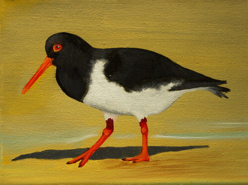 Austernfischer de Ulla M. Neuhaus, Pintura a la venta en Singulart