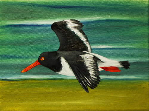 Austernfischer im Flug de Ulla M. Neuhaus, Pintura a la venta en Singulart