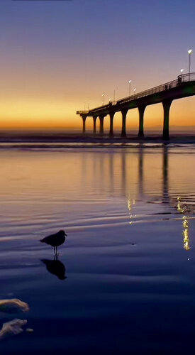 Sunrise and bird par Anne-Sophie A Bettembourg, Photographie en vente sur Singulart