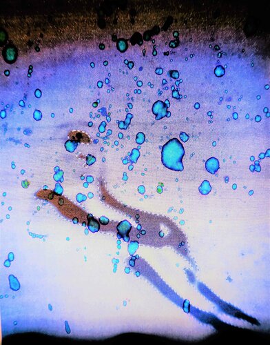 Blue bubble di Anne-Sophie A Bettembourg, Fotografia in vendita su Singulart