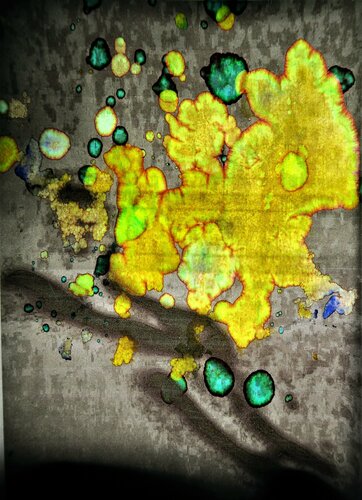 Yellow bubbles di Anne-Sophie A Bettembourg, Fotografia in vendita su Singulart