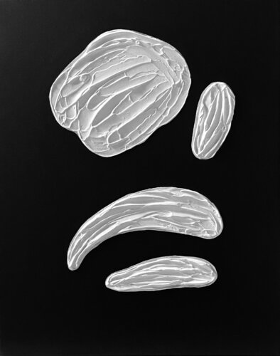 Black and White Snow - 3 D textured, plaster, minimalism von Nataliia Krykun, Malerei kaufen auf Singulart