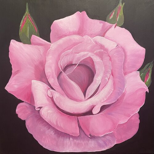 Pink Rose on black background van Nataliia Krykun, Schilderij te koop op Singulart
