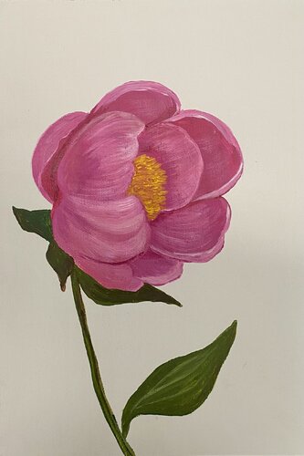 Peony, Pink Flower on a white background de Nataliia Krykun, Pintura a la venta en Singulart