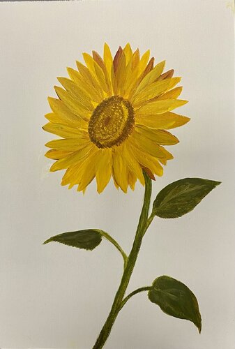 Sunflower on a white background van Nataliia Krykun, Schilderij te koop op Singulart
