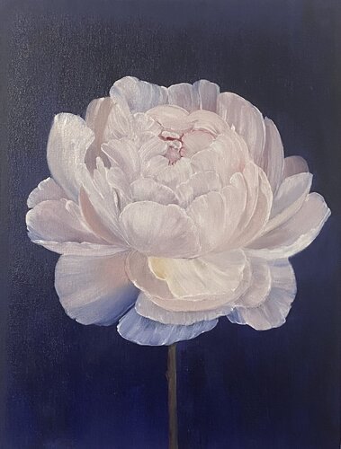 White Peony, Flower on a deep blue background de Nataliia Krykun, Pintura a la venta en Singulart