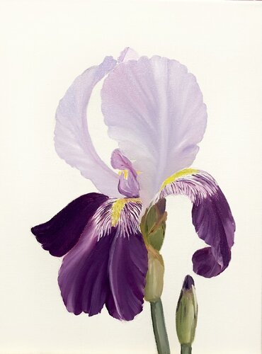 From the Series Iris flowers, Ritter-Schwertlilie di Nataliia Krykun, Pittura in vendita su Singulart