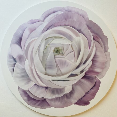 Peony flower - Ranunculus Nataliia Krykun