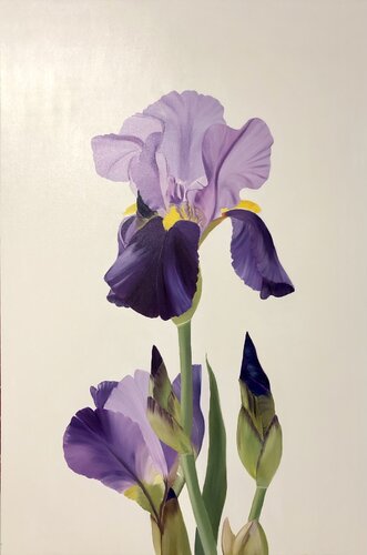 From the Series Iris flowers, Ritter-Schwertlilie de Nataliia Krykun, Pintura a la venta en Singulart