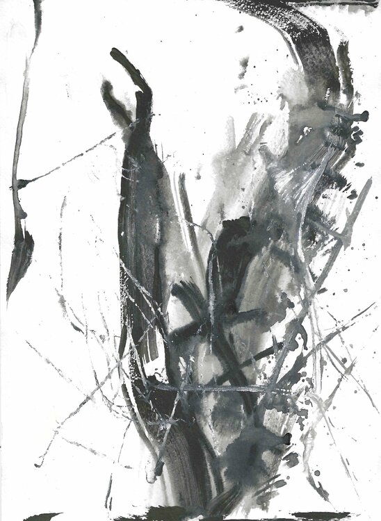 BLACK AND WHITE Nataliia Krykun