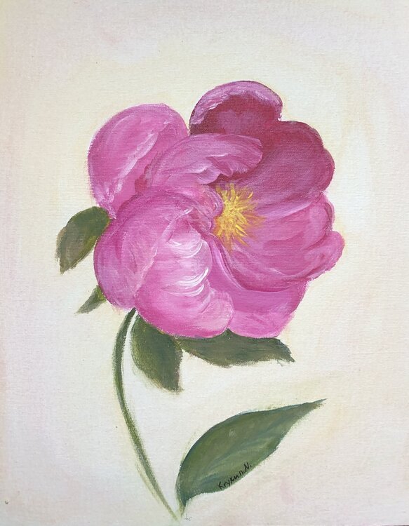 Peony, Pink Flower Nataliia Krykun