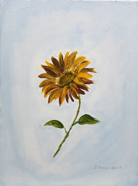 Sunflower in Air Nataliia Krykun