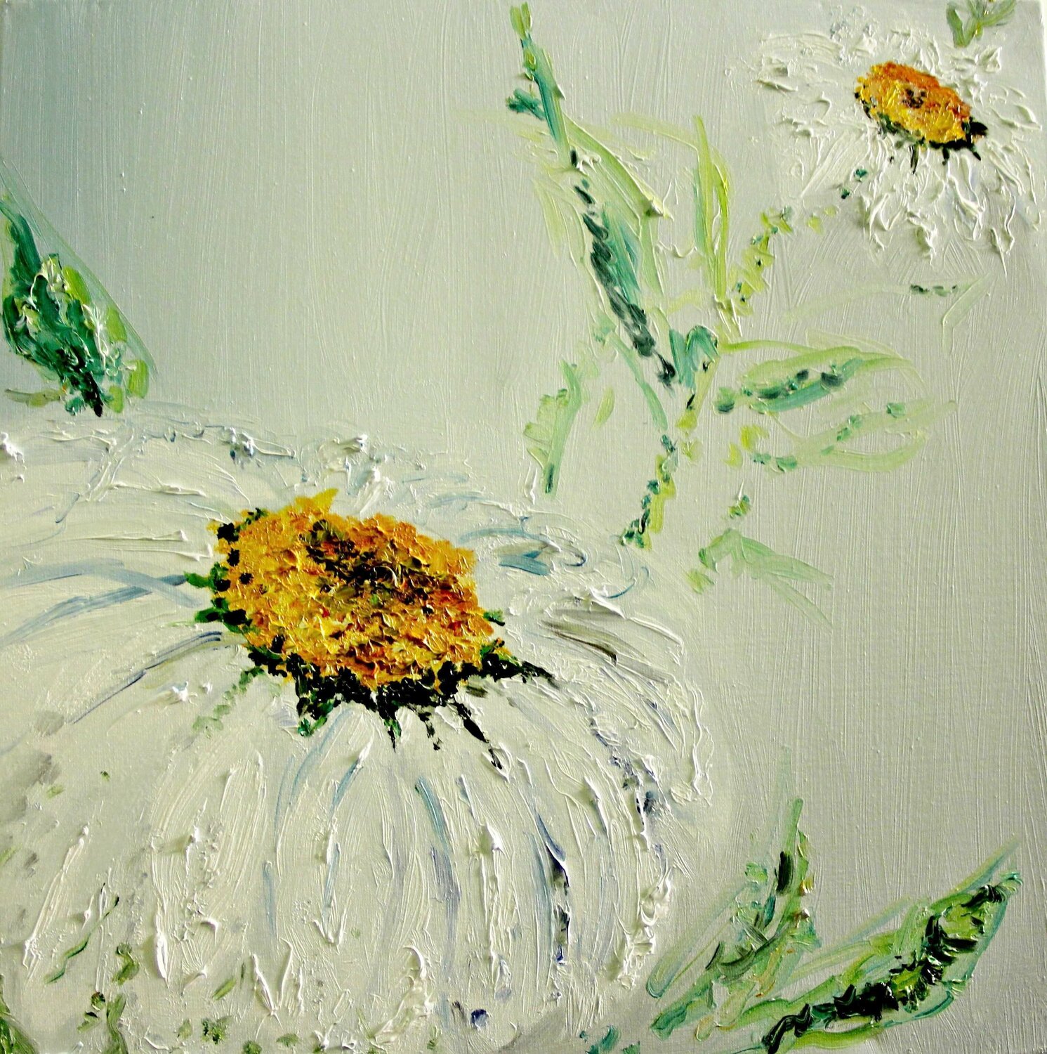 Daisy in the field Nataliia Krykun