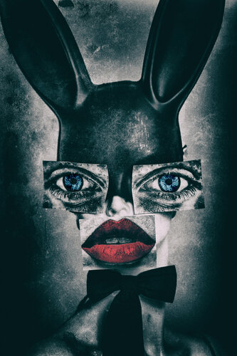 i.rabbit#4 di Igor Vitomirov, Fotografia in vendita su Singulart