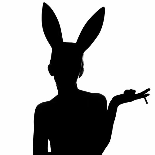 smoking rabbit#1 Igor Vitomirov