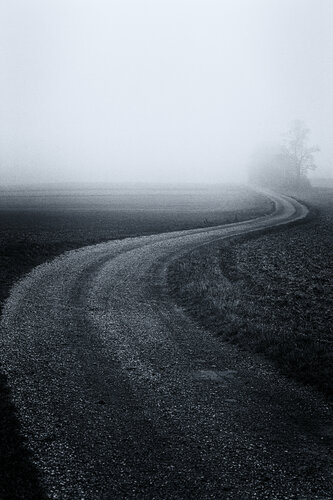 field road in the mist de Igor Vitomirov, Fotografía a la venta en Singulart