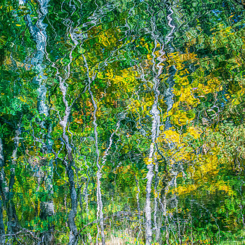 autumn forest reflection #1 von Igor Vitomirov, Fotografie kaufen auf Singulart