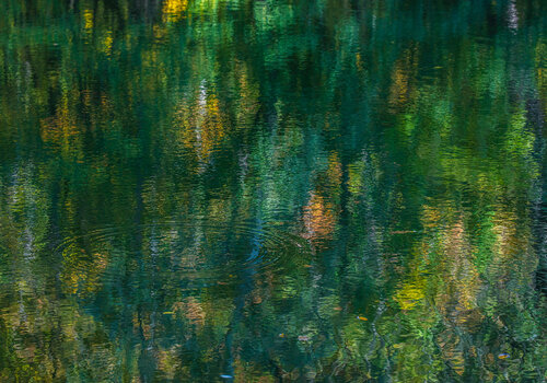 autumn forest reflection #2 von Igor Vitomirov, Fotografie kaufen auf Singulart