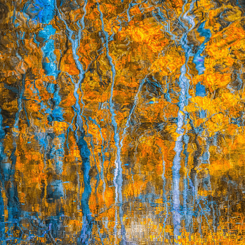 autumn forest reflection #4 par Igor Vitomirov, Photographie en vente sur Singulart