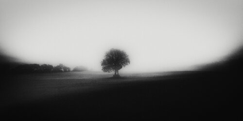 in a lonely place von Igor Vitomirov, Fotografie kaufen auf Singulart