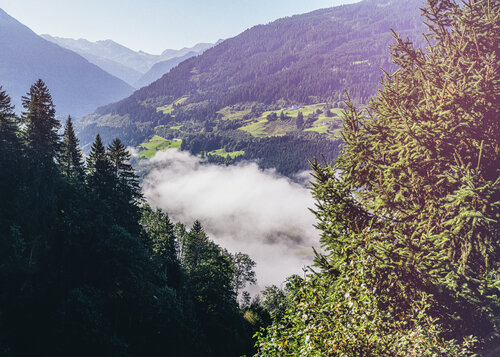 misty mountains #3 par Igor Vitomirov, Photographie en vente sur Singulart